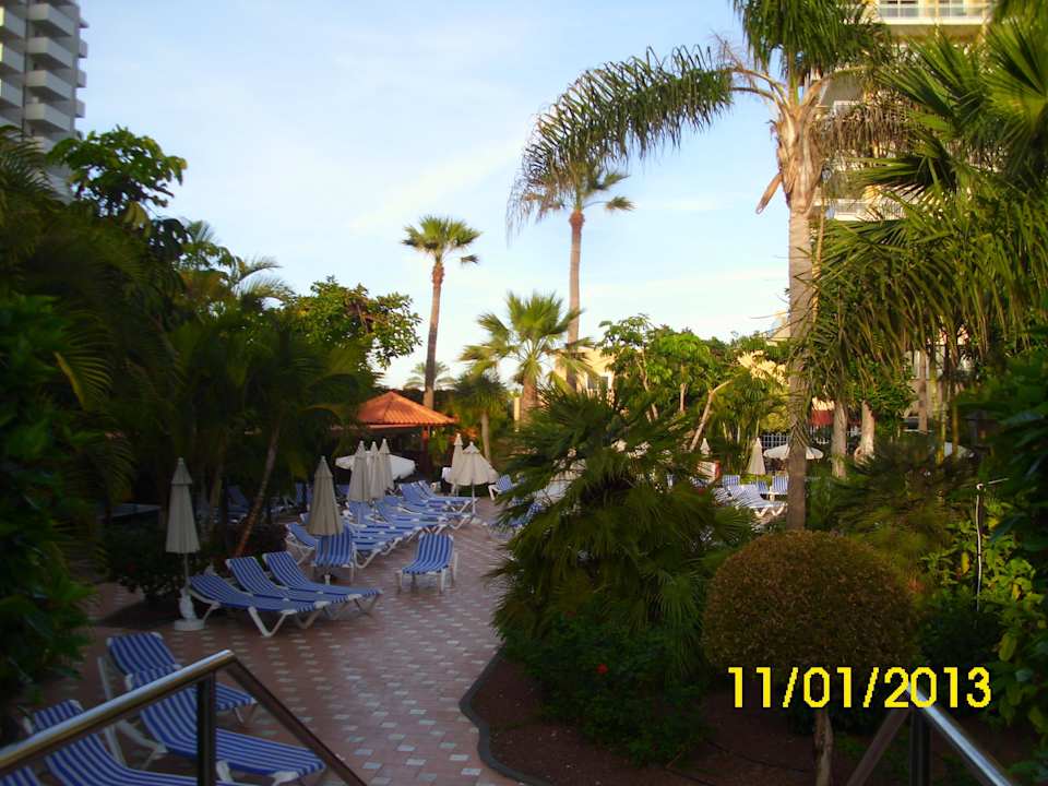 In der Nähe des Pools Bahia Principe Sunlight San Felipe