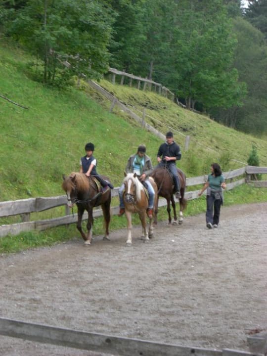 Reiten auf dem Hagenhof Pension-Biobauernhof Hagenhof