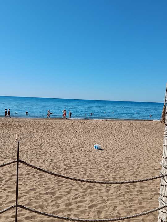 Strand Seashell Vega