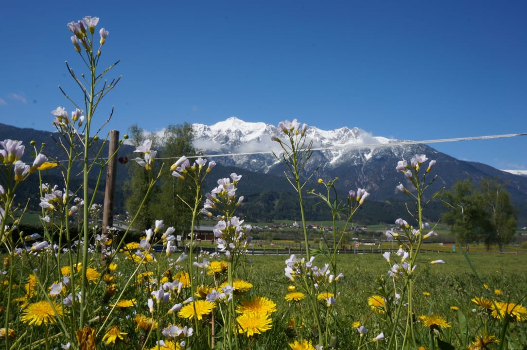 Schöne Aussicht Apartments Ferienhaus Mandlhof