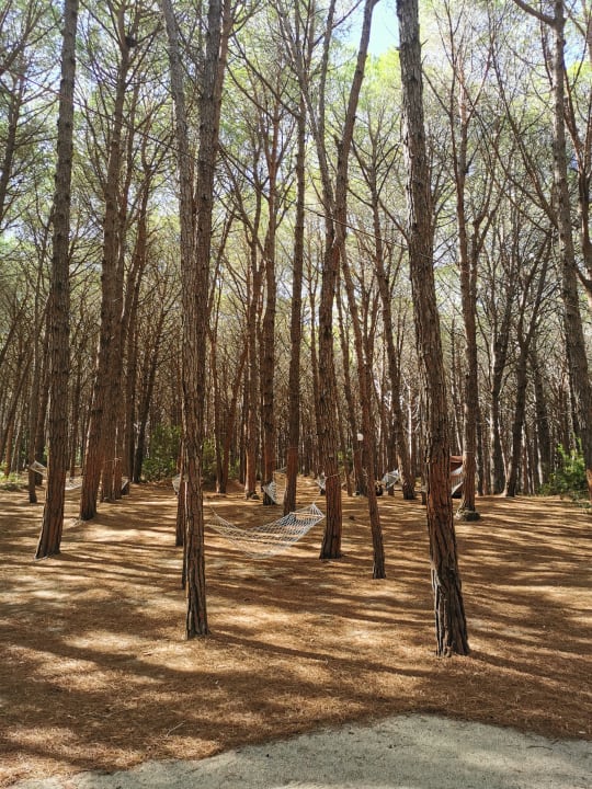Gartenanlage TUI MAGIC LIFE Calabria