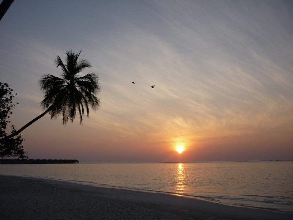 Sonnenaufgang deluxe! Meeru Maldives Resort Island