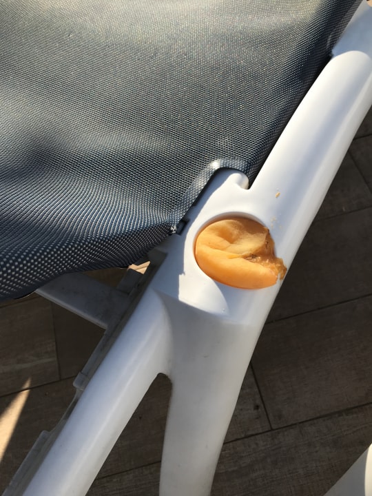 Pool Alcudia Garden Aparthotel