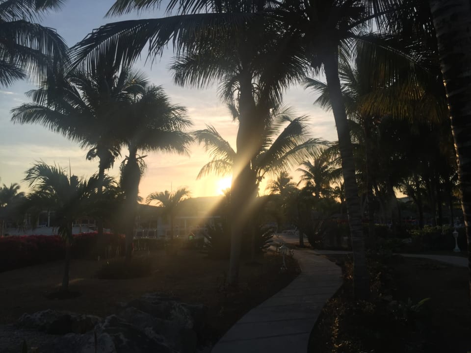 Pool Hotel Melia Cayo Coco - Adults only
