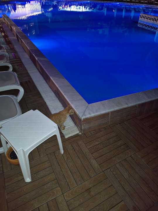 Pool Narcia Resort Side