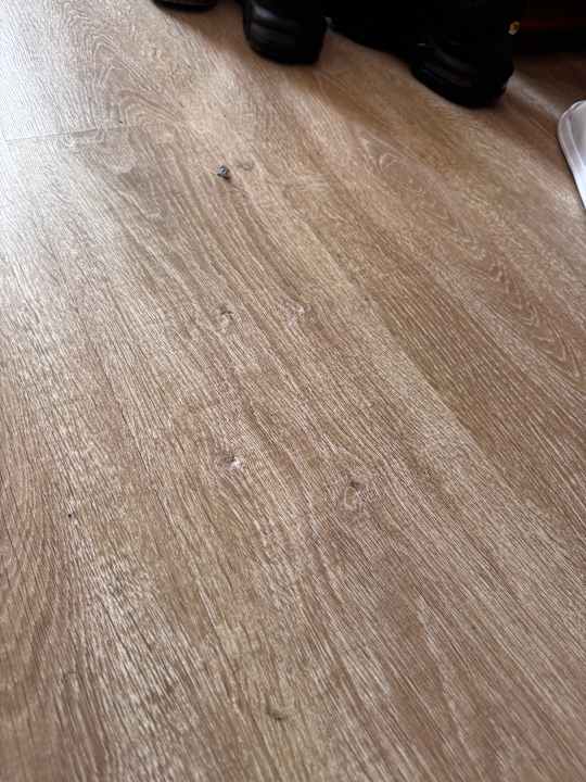 Zimmer Well Palace Side