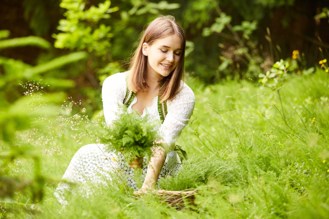 Gartenanlage Berghotel Sonnenklause
