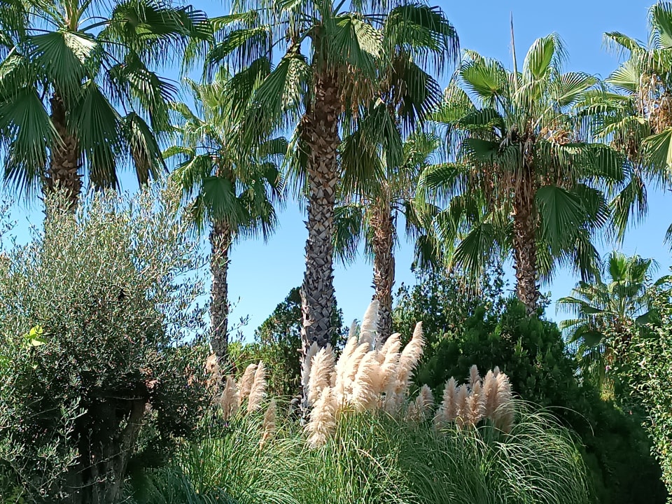 Gartenanlage Trendy Aspendos Beach Hotel