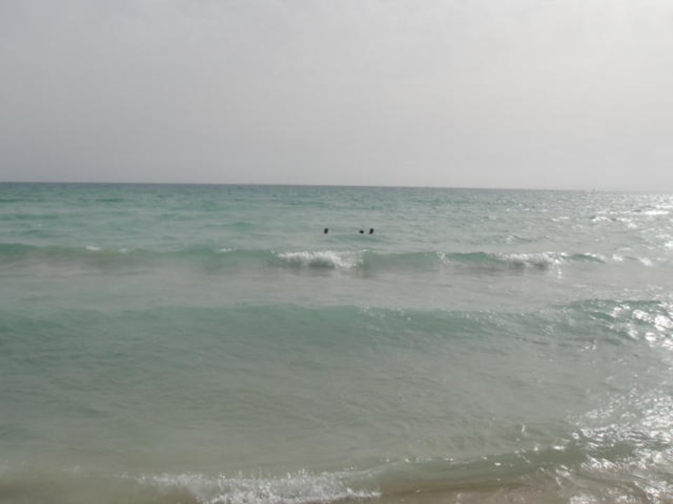 Das Meer Iberostar Waves Bahia de Palma