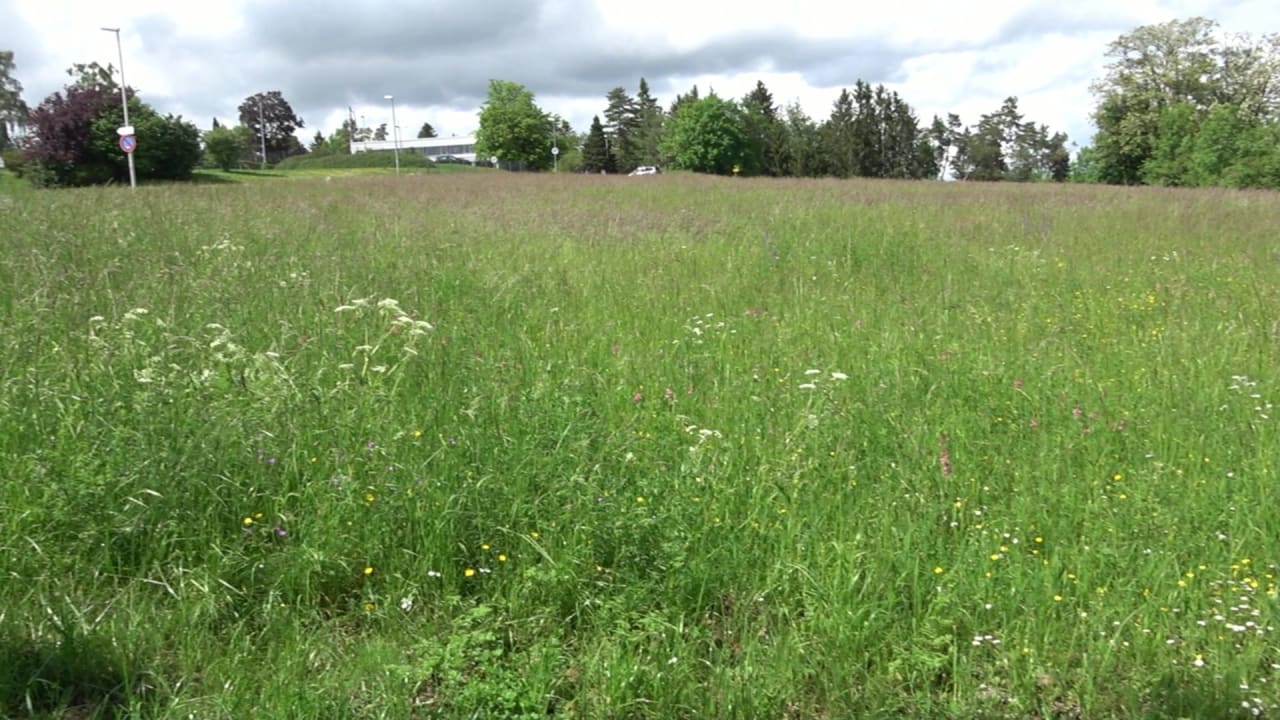 Ausblick Vital- und Wellnesshotel Albblick