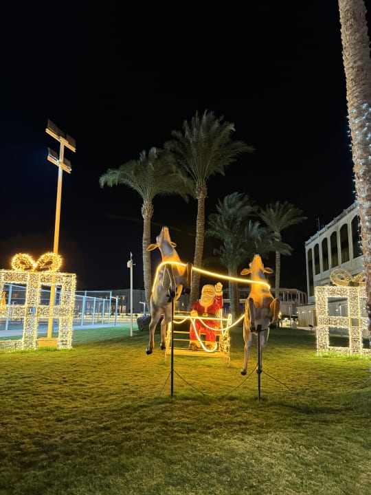 Gartenanlage Beach Albatros Resort