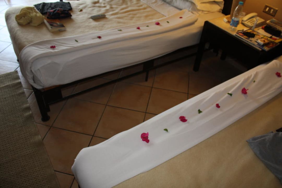 Einfach nett JAZ Dahabeya