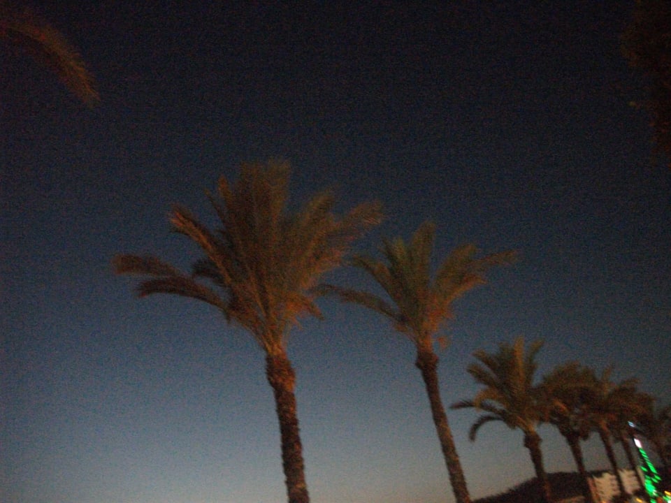 Sonstiges Hotel Osiris