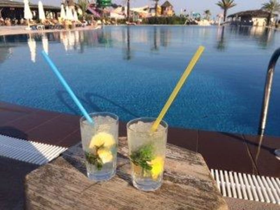 Pool Papillon Belvil