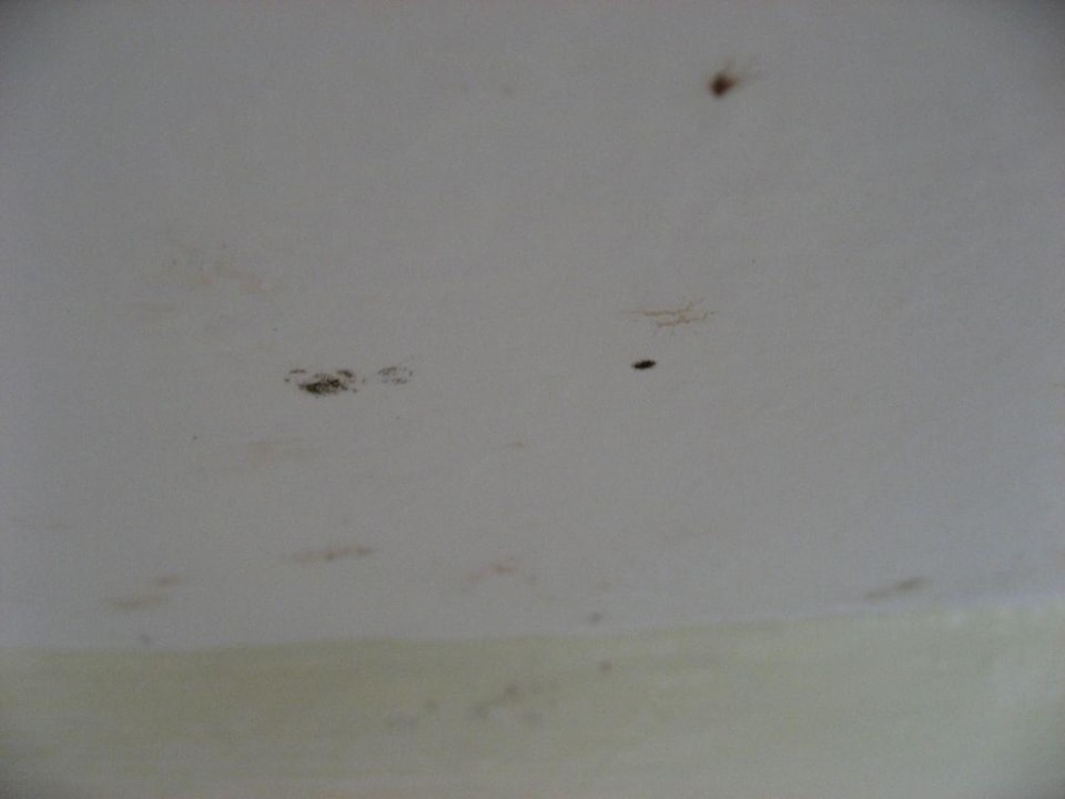 Unsere Junio-Suite im Haus Nr. 11 (unten links) Grand Palladium Select Bávaro Resort & Spa