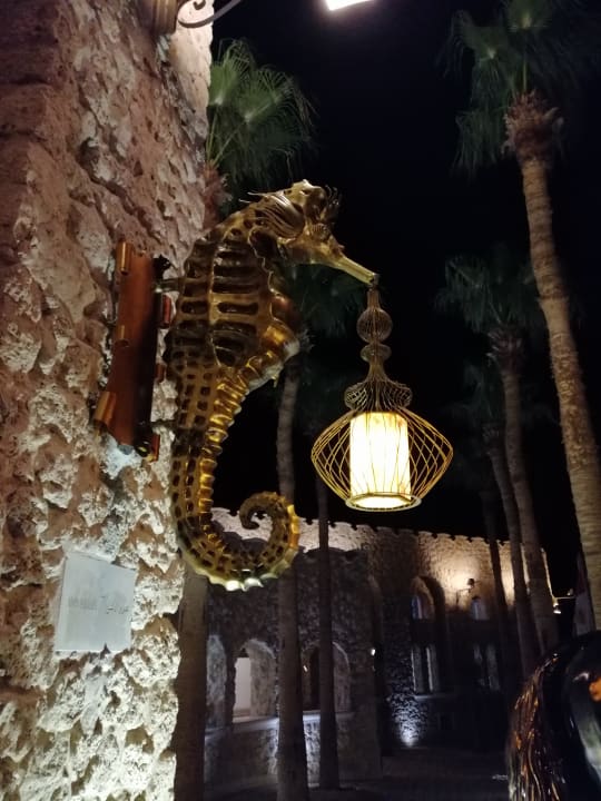 Sonstiges Pickalbatros Citadel Resort