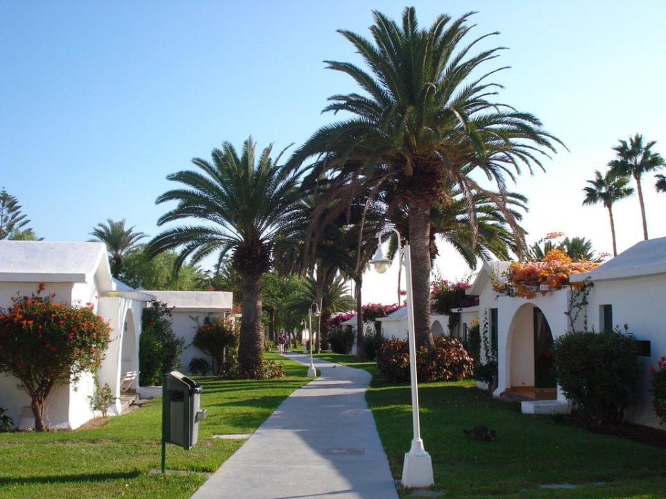 Hauptweg durch die Anlage Canary Garden Club