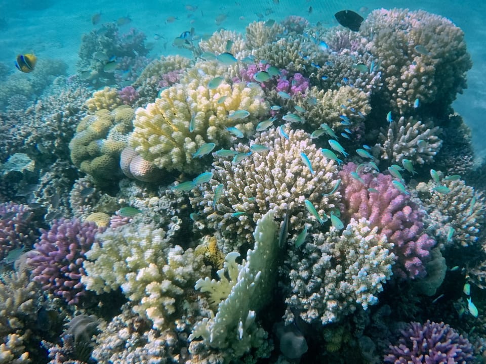 Strand Iberotel Makadi Beach
