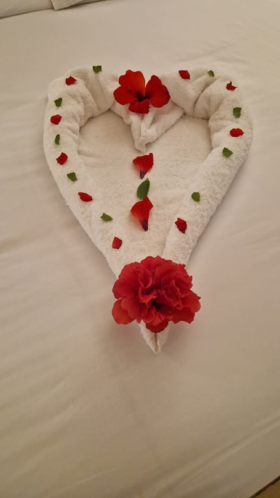 Zimmer Pickalbatros Sands Hotel - Port Ghalib