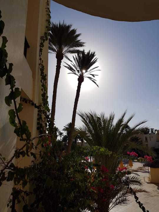 Morgensonne2 Hotel Eden Star