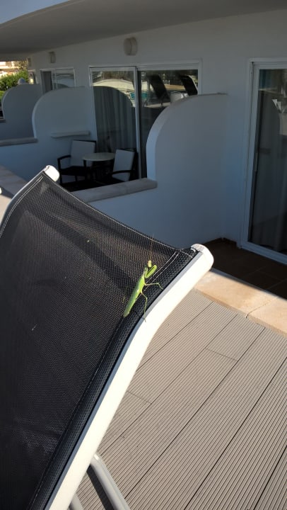 Sonstiges Grupotel Acapulco Playa - Adults Only