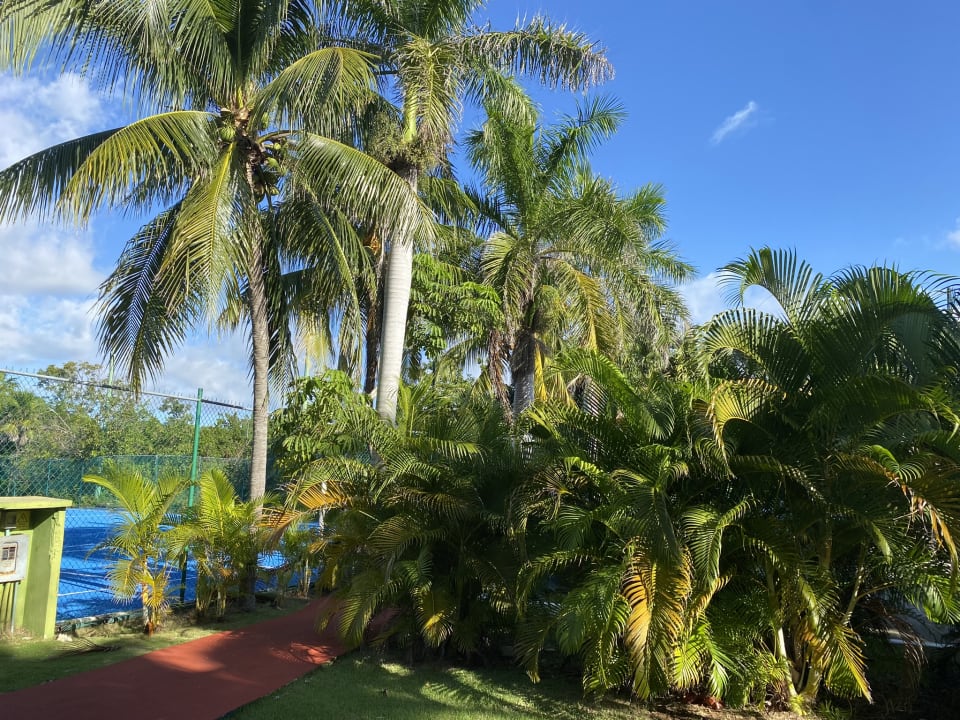 Sport & Freizeit Grand Oasis Tulum Riviera - All Inclusive