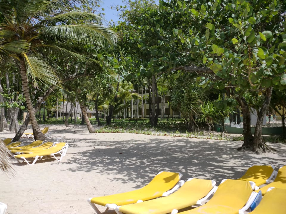 Strand Iberostar Waves Costa Dorada