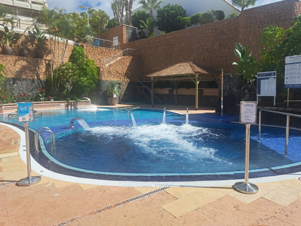 Pool Landmar Playa La Arena