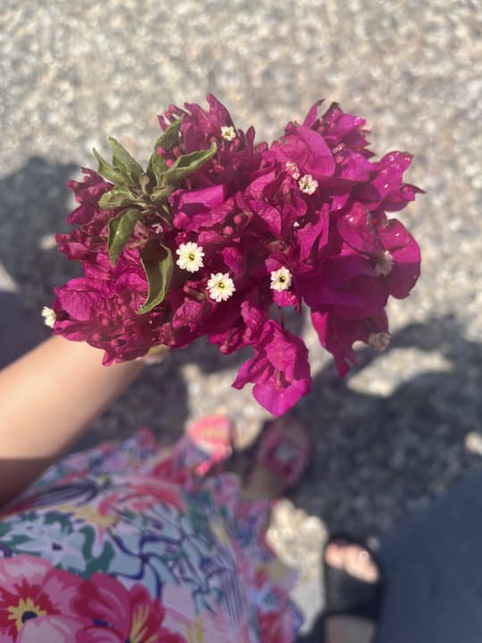 Gartenanlage Hane Family Resort