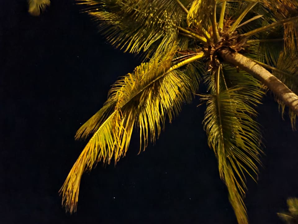 Sonstiges Wyndham Alltra Samana