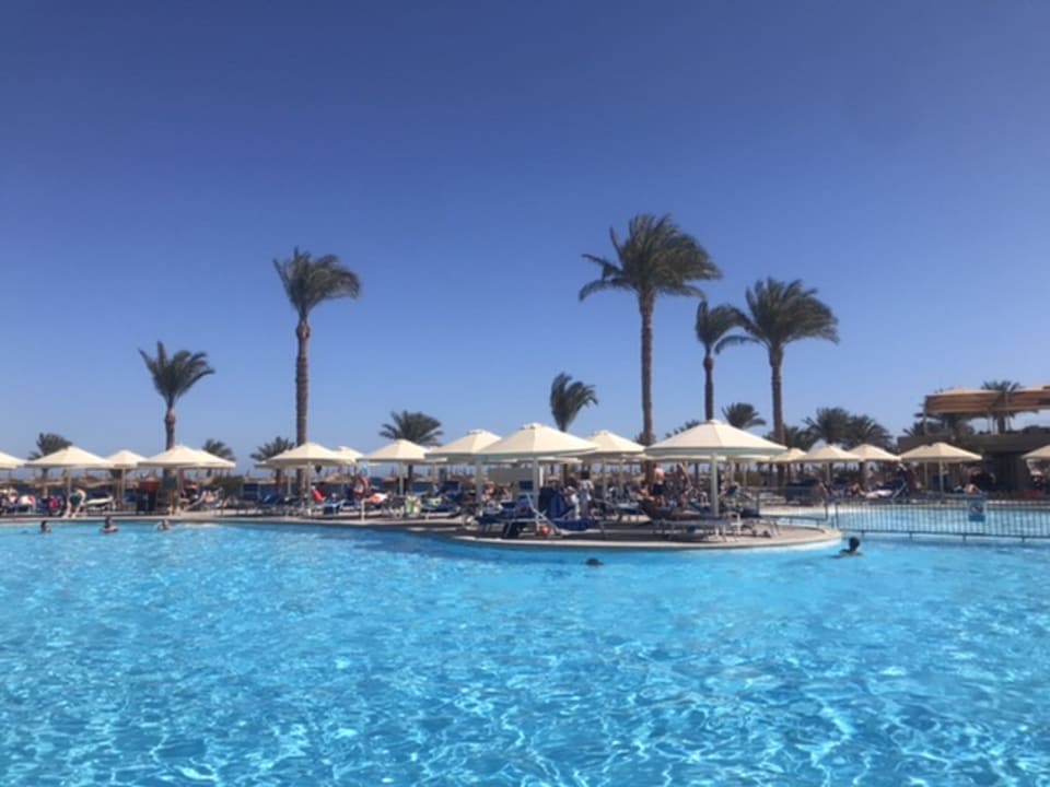 Pool Beach Albatros Resort