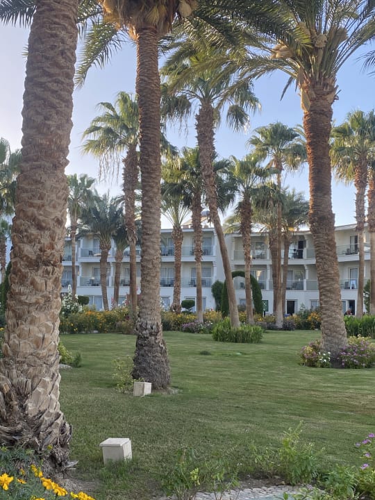 Gartenanlage Amarina Abu Soma Resort & Aquapark