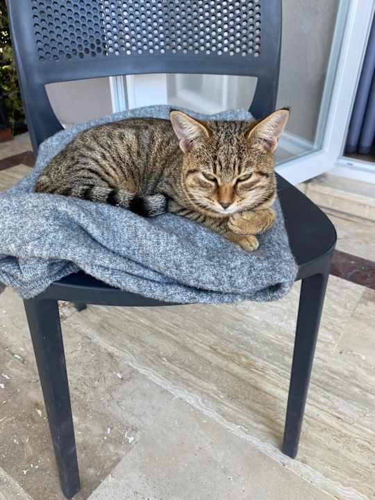 Sonstiges Simena Comfort Hotel