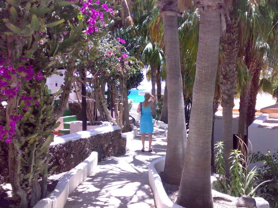 Bungalow-Anlage Bahia Calma Beach