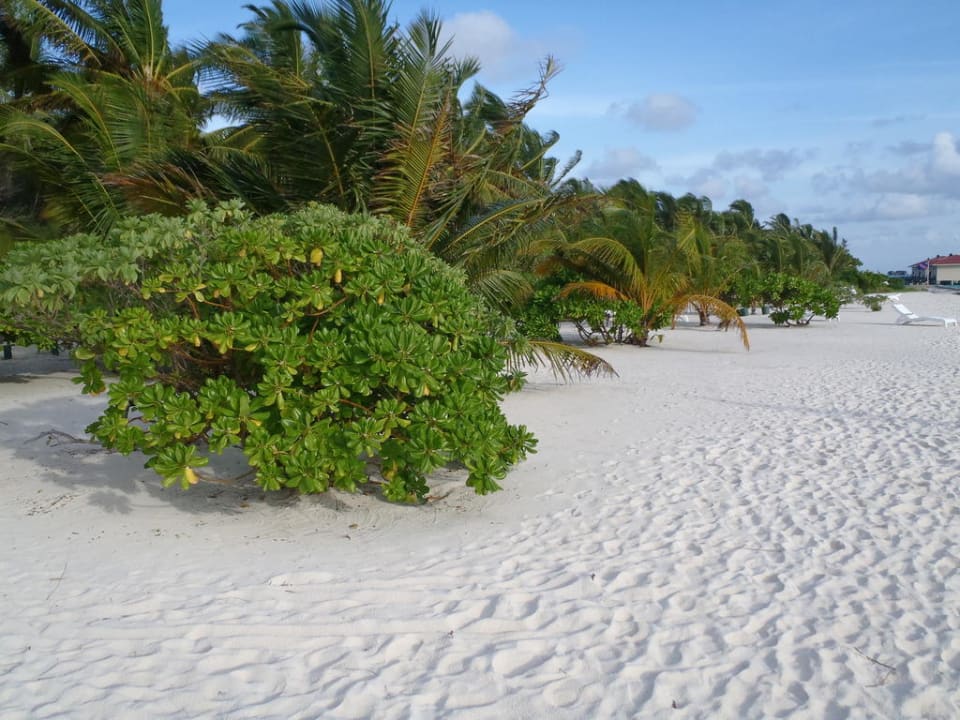 Strandspatziergang Summer Island Maldives