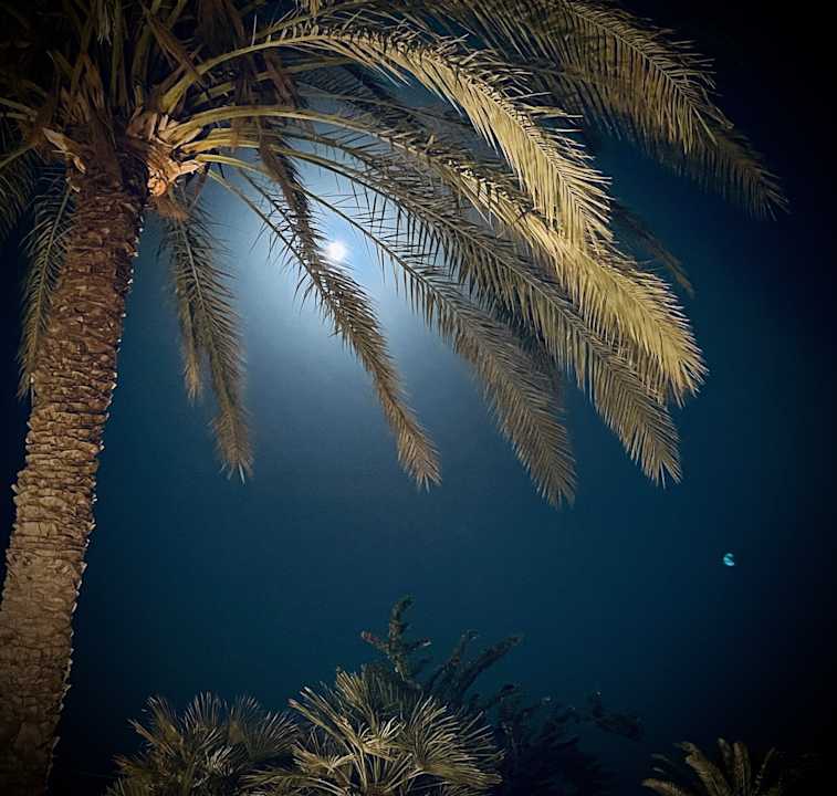 Außenansicht Sheraton Miramar Resort El Gouna