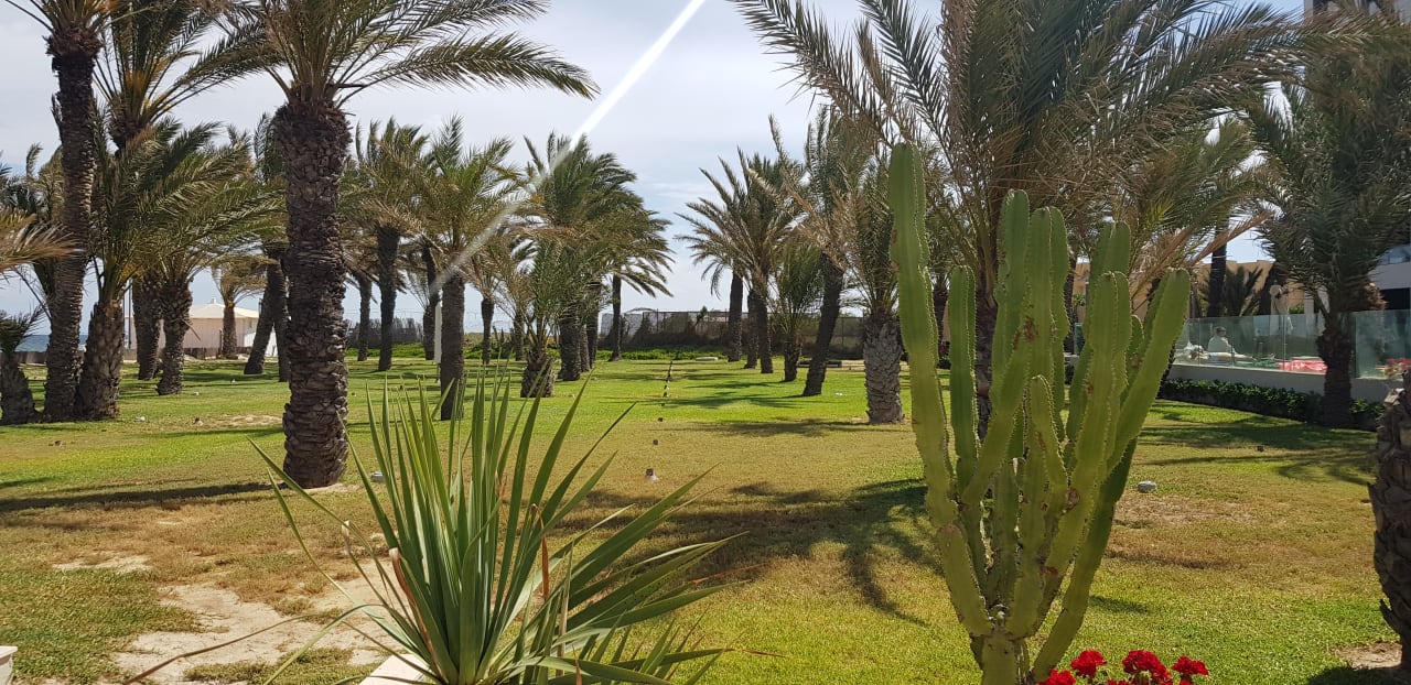 Gartenanlage Hotel Rosa Beach