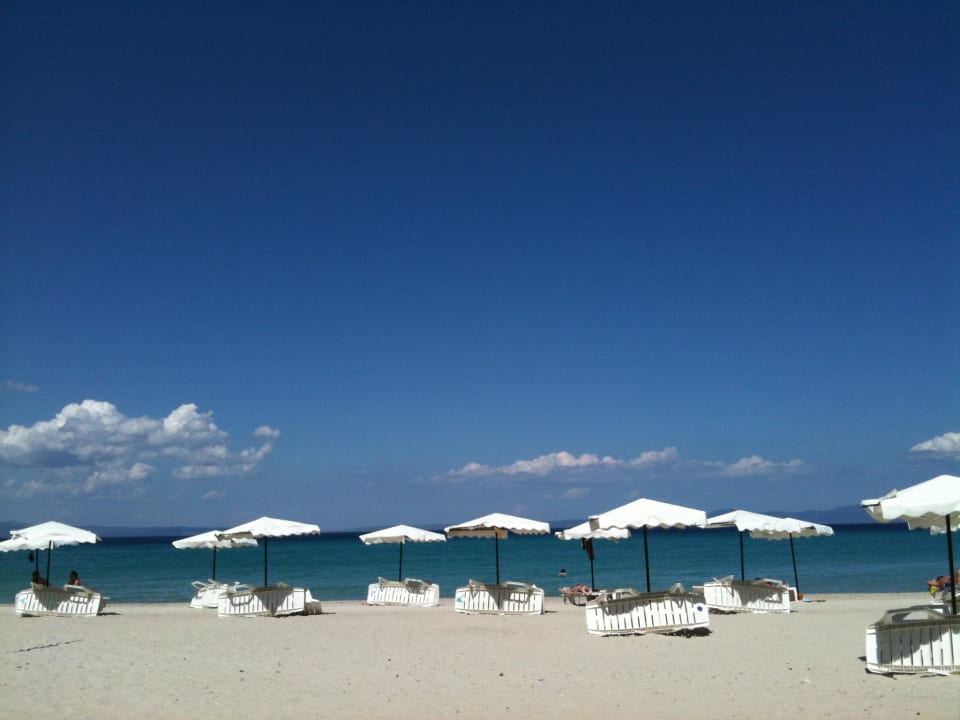 Sehr schönes Strandpanorama Hotel Athos Palace