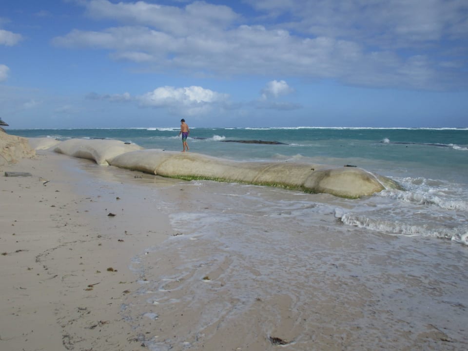 Hinter den weißen Sandsäcken die schwarzen gleich Ocean Blue & Sand
