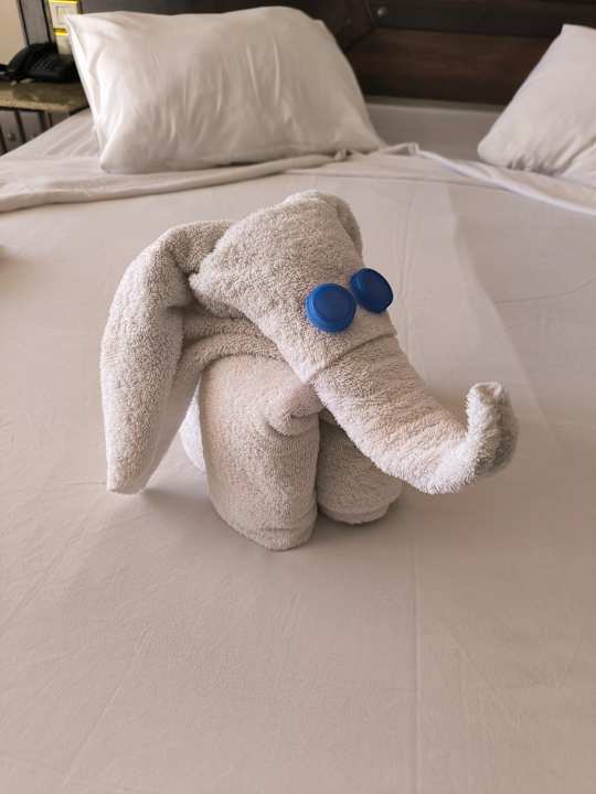 Zimmer Utopia Beach Club