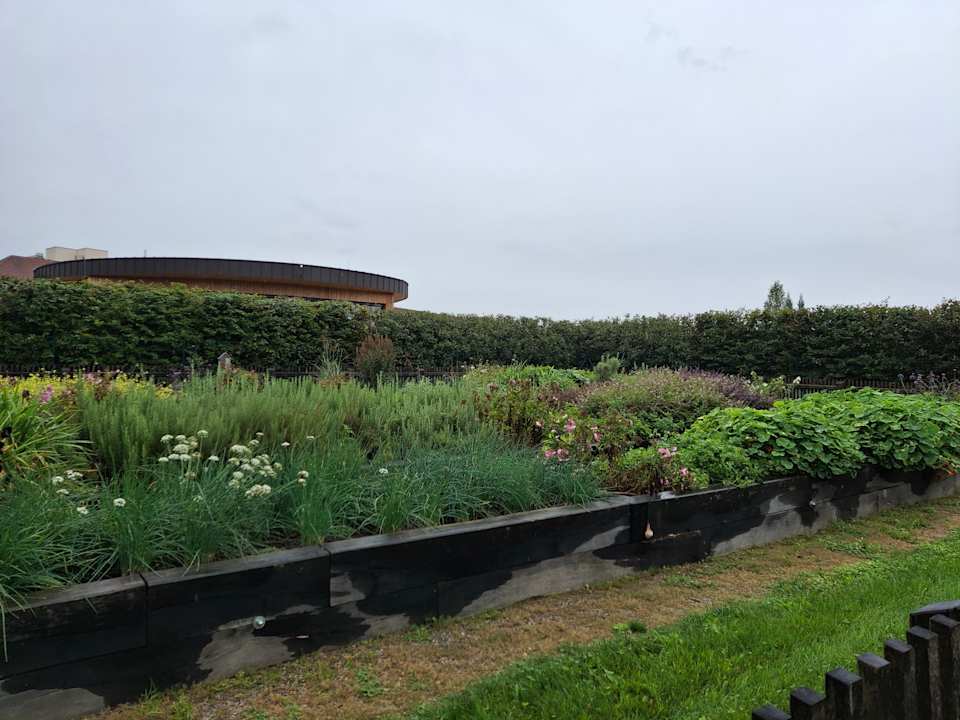 Gartenanlage Hotel Reiters Supreme