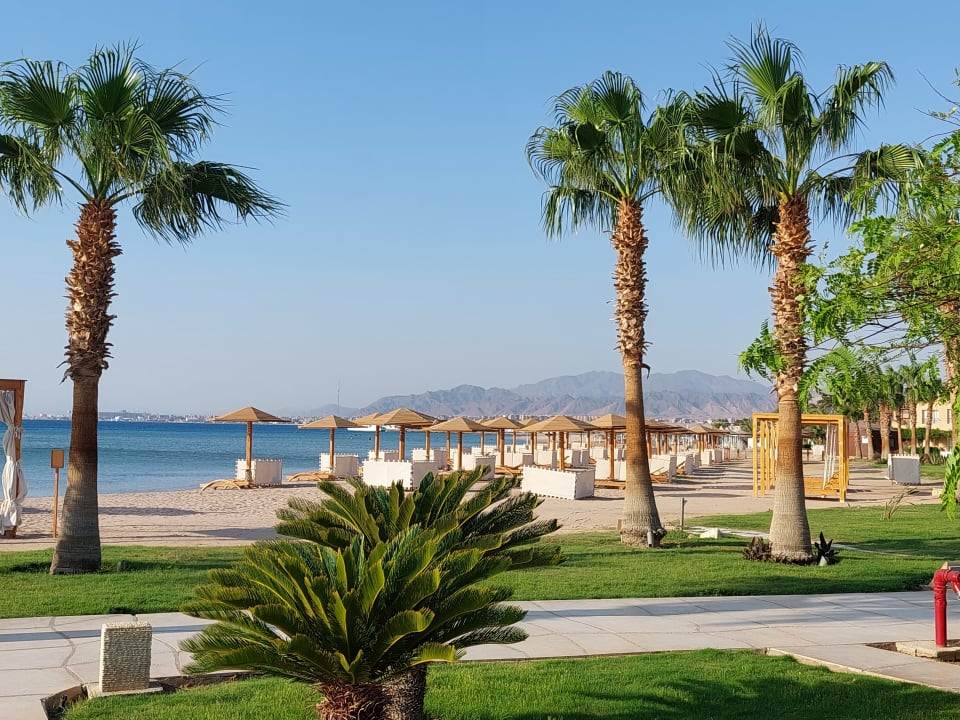 Strand Shams Prestige Abu Soma-Adults Only