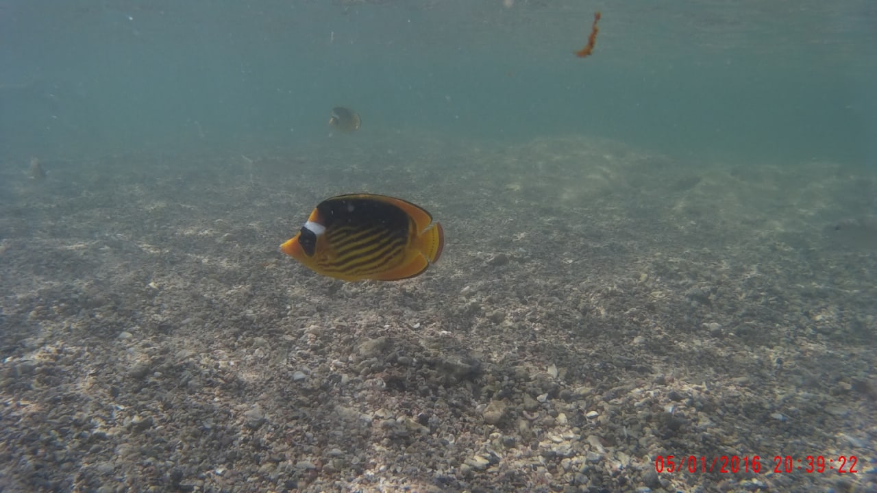 Strand Three Corners Sea Beach Resort