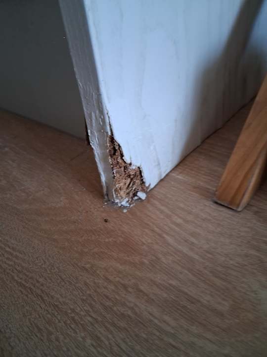 Zimmer HL Suitehotel Playa del Ingles