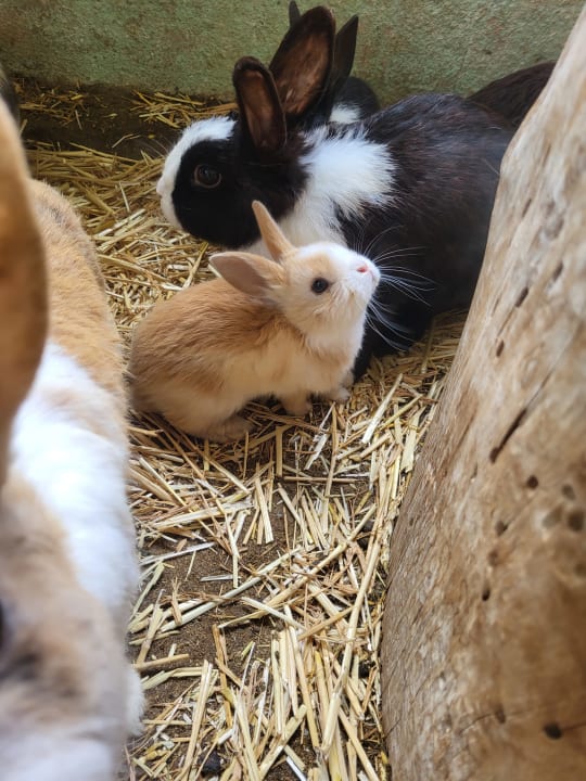 Außenansicht Abelhof