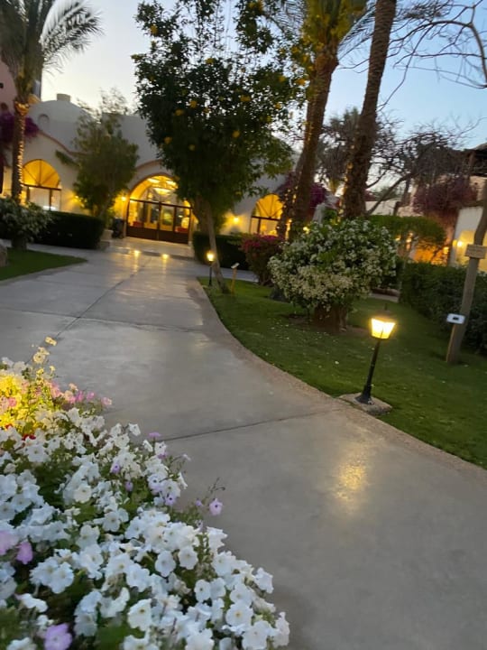 Lobby Jaz Makadi Saraya Resort