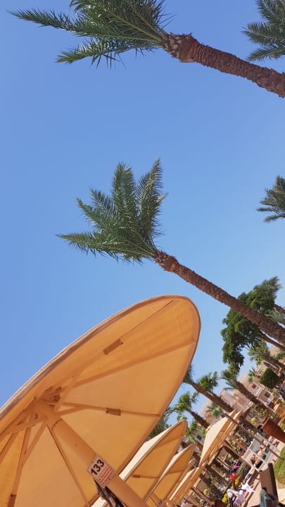 Sonstiges Pickalbatros Palace Resort