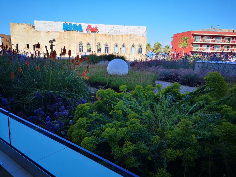 Ausblick Hipotels Gran Playa De Palma