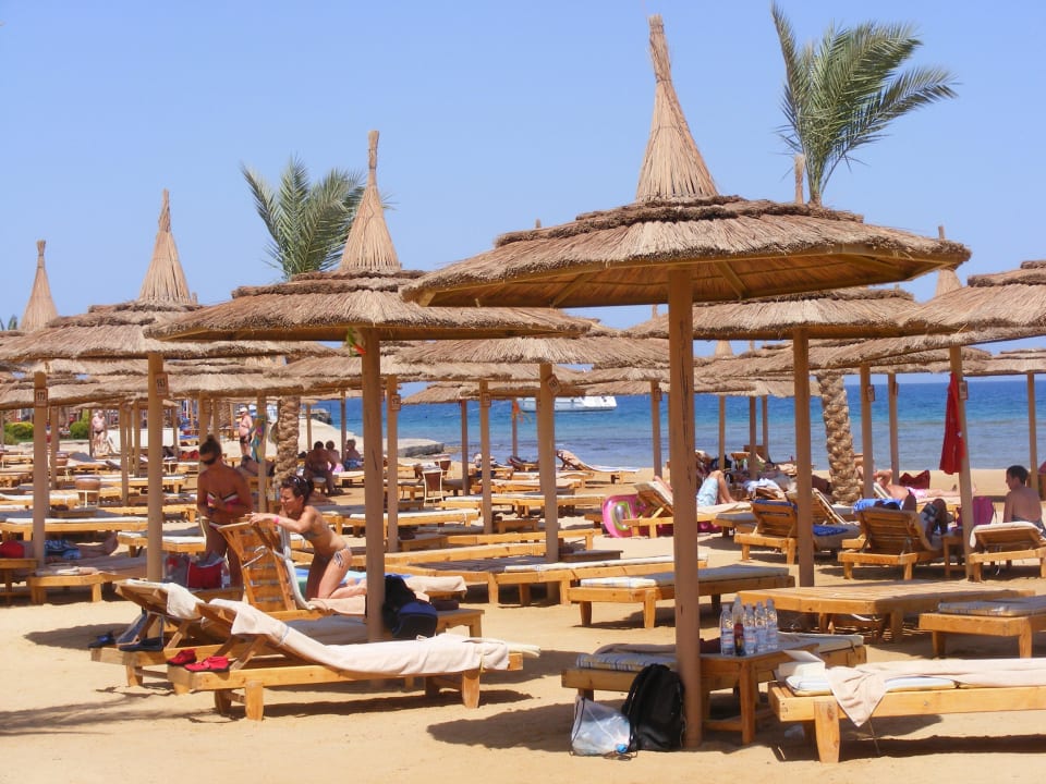 Plaża Pickalbatros Palace Resort