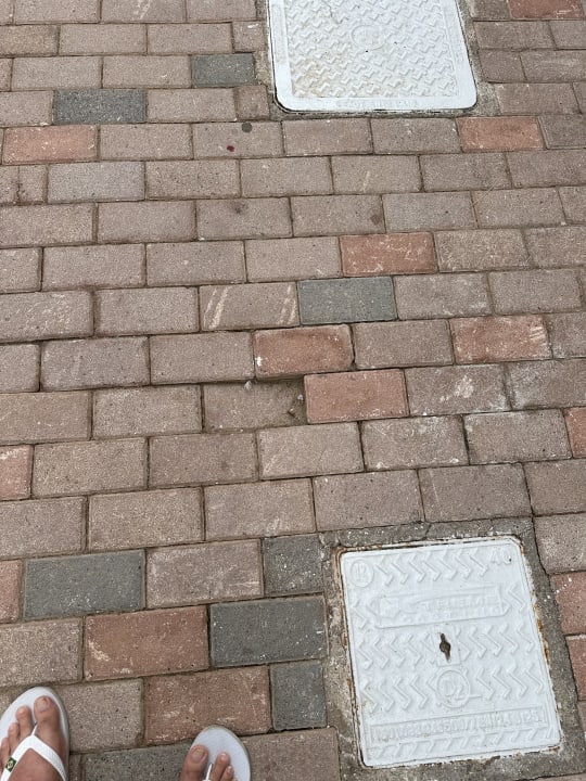 Sonstiges allsun Hotel Carolina Mare